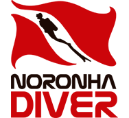 Noronha Diver